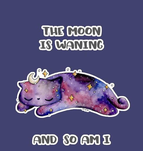 Cat with stars says the moon is waning and so am I 