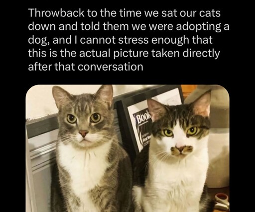 They are displeased