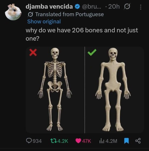 bone