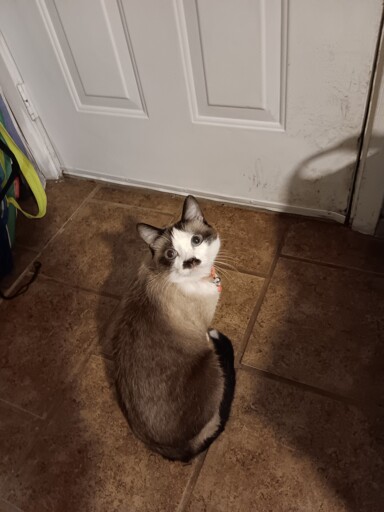 Please tell her she doesn't want to go out there